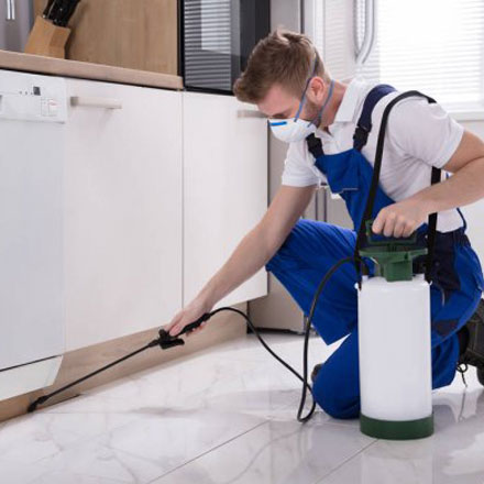 professional carpet cleaner in brisbane