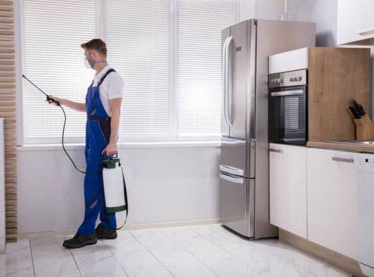 best cleaners in brisbane