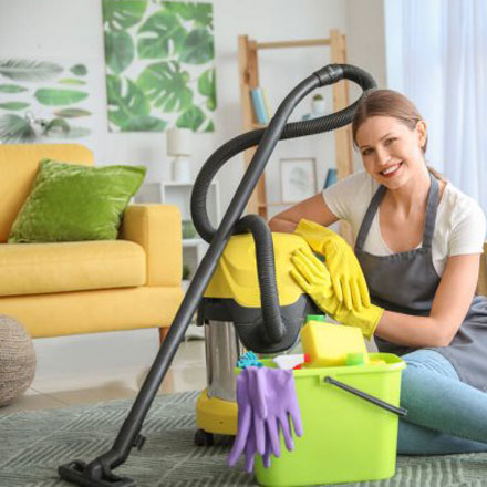 professional carpet cleaner in brisbane