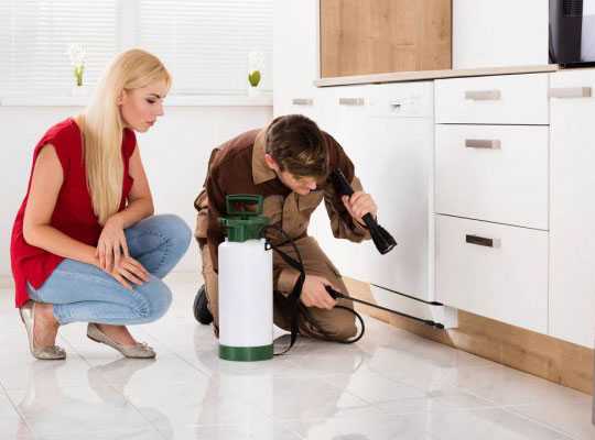 professional cleaners in brisbane