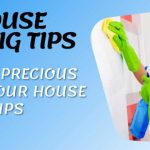 fast house cleaning tips