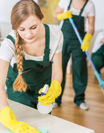 best bond cleaners in ipswich