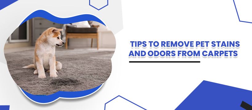 carpet cleaning tips