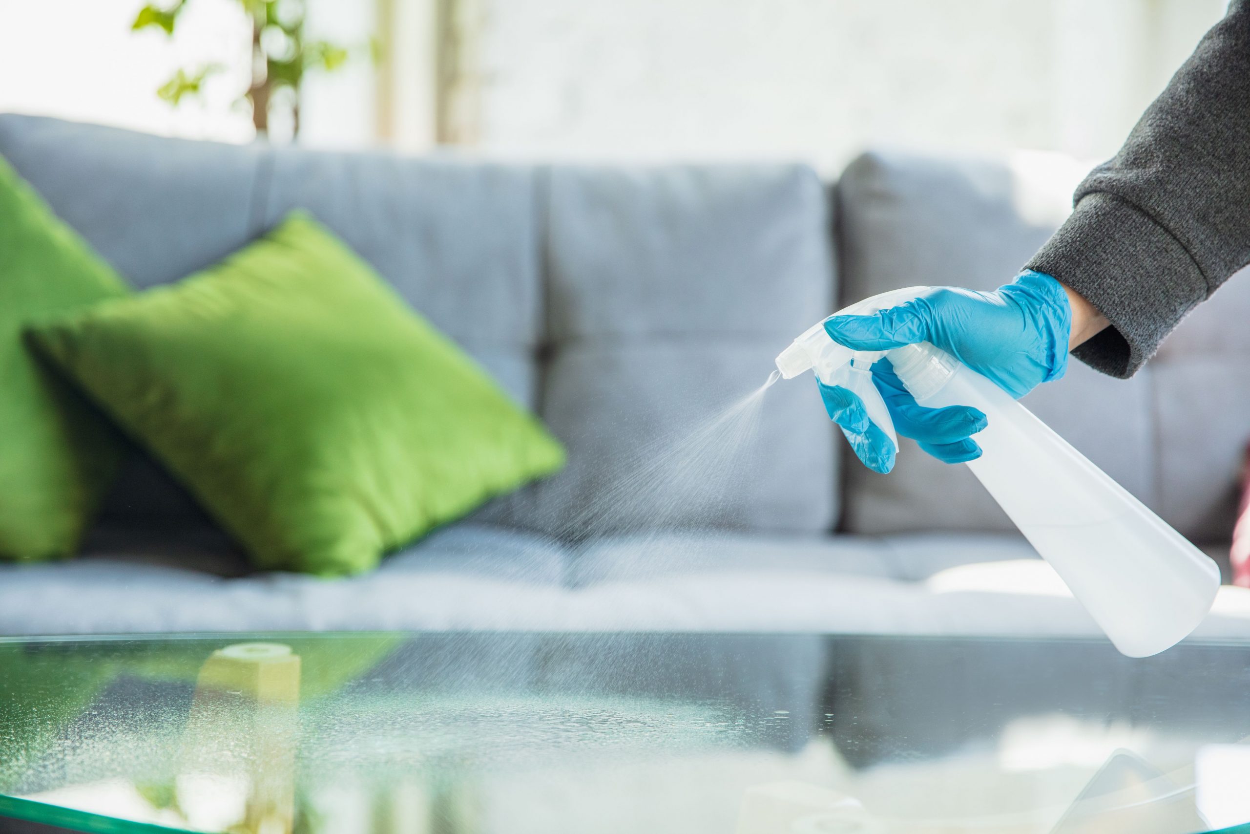 house cleaning services